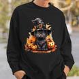 Cute Little Black Cat With Yellow Eyes Halloween Kittens Sweatshirt Gifts for Him