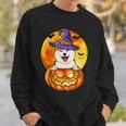 Dog Akita Witch Pumpkin Halloween Dog Lover Funny Sweatshirt Gifts for Him