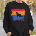 Ferret Shadow Silhouette With Colorful Flag Sweatshirt Gifts for Him