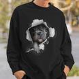 French Bulldog Dog Owner Cute French Bulldog Sweatshirt Gifts for Him