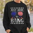 Funny 4Th Of July Im Just Here To Bang Usa Flag Sunglasses Sweatshirt Gifts for Him