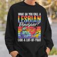 Funny Lesbian Dinosaur Joke Lesbian Sweatshirt Gifts for Him