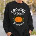 Growing A Little Pumpkin Thanksgiving Pregnancy Sweatshirt Gifts for Him