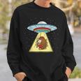 Hedgehog Playing Bagpipe Ufo Abduction Sweatshirt Gifts for Him
