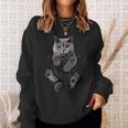 Cat Lovers British Shorthair In Pocket Kitten Sweatshirt Gifts for Her