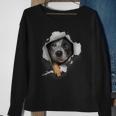 Australian Cattle Dog Dog Owner Dog Lover Dog Sweatshirt Gifts for Old Women