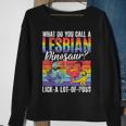 Funny Lesbian Dinosaur Joke Lesbian Sweatshirt Gifts for Old Women