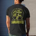 Lets Be Honest I Was Crazy Before Labradoodles Mens Back Print T-shirt Gifts for Him