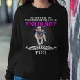 Never Underestimate A Nurse Who Loves Pugdog Pug Dog Funny Women Crewneck Graphic Sweatshirt Funny Gifts
