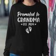 Promoted To Grandma Est 2024 New Grandma Grandmother Women Sweatshirt Funny Gifts