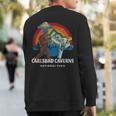 Carlsbad Caverns National Park Bigfoot Alien Vintage Ufo Sweatshirt Back Print