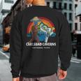 Carlsbad Caverns National Park Bigfoot Alien Vintage Ufo Sweatshirt Back Print