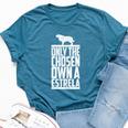 Estrela Mountain Dog Only Chose One Own Dog Mom Dad Bella Canvas T-shirt Heather Deep Teal