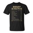 Remy Name Gift Remy Facts V2 Unisex T-Shirt