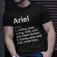 Ariel Definition Personalized Name Birthday Idea T-Shirt Gifts for Him