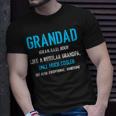 Grandad Gift Like A Regular Funny Definition Much Cooler Unisex T-Shirt Gifts for Him