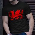 Red Dragon Wales Welsh Flag Soccer Football Fan Jersey T-Shirt Gifts for Him