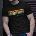 Vintage Sunset Stripes Apison Tennessee T-Shirt Gifts for Him