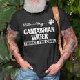 Cantabrian Water Owners T-Shirt Gifts for Old Men
