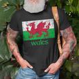 Dragon Of Wales Flag Welsh Cymru Flags Medieval Welsh Rugby T-Shirt Gifts for Old Men